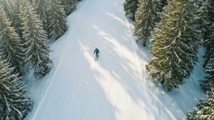 一名滑雪者穿過白雪覆蓋的松樹林，沿著積雪的山路下山。