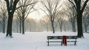 一條雪覆公園長椅，上面披著一條紅色圍巾的冬季場景。