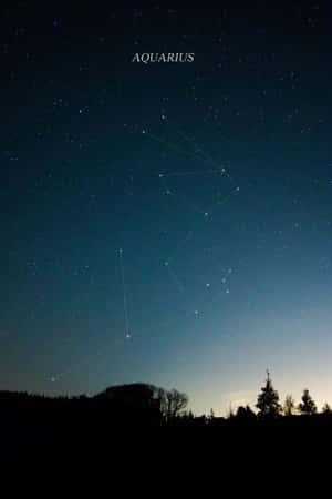 水瓶座星座在星空夜空中發出綠色光芒，位於剪影樹木上方。 — 雙子座 壁紙
