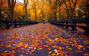 一條濕漉漉的公園小徑，在黑色欄杆之間鋪滿落下的秋葉。 — 2880x1800 壁紙