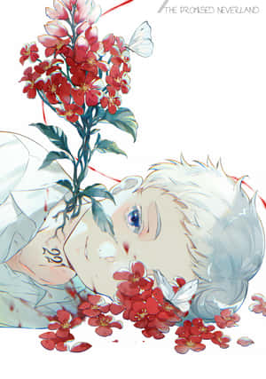白髮的動漫男孩被紅花和白蝴蝶圍繞。 — 華為Pura X 壁紙