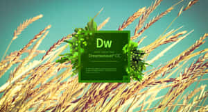 Adobe Dreamweaver CC 標誌被像素化的綠色植物和金色麥稈環繞。 — 夢核 壁紙