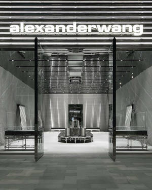 Alexander Wang 店鋪入口，配玻璃門和金屬內部。 — 4:5 壁紙