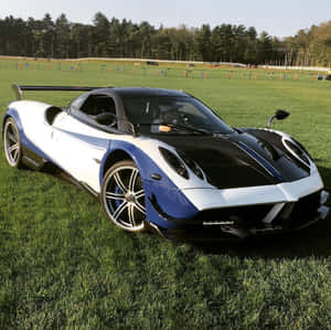 白色和藍色的Pagani Huayra BC超級跑車停放在靠近森林賽道的草地上。 — 1:1 壁紙