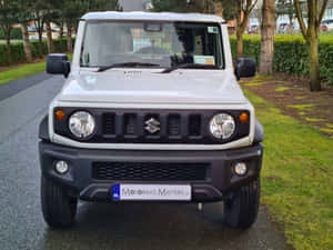 白色鈴木 Jimny SUV 停放在濕路上，附近有草和樹木。 — 鈴木 壁紙