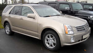 米色Cadillac STS SUV停放在一個有禿樹的戶外停車場。 — 凱迪拉克 壁紙