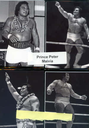 Prince Peter Maivia 在摔角擂台上穿著花環和短褲慶祝。 — 摔角 壁紙