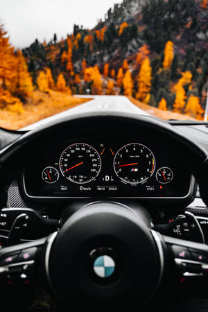 BMW 汽車儀表板面向風景如畫的秋林道路，遠處有山脈。 — 好看汽車 壁紙