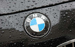 雨濕的黑色引擎蓋上閃爍的水滴與 BMW 標誌。 — Vans 標誌 壁紙
