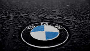 BMW標誌在濕潤引擎蓋上帶有雨滴 — Vans 標誌 壁紙