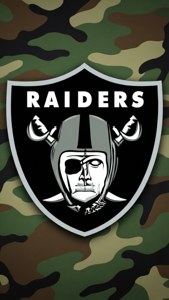迷彩背景上的 Raiders 標誌