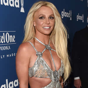 Britney Spears 在GLAAD活動中穿著閃閃發光的銀色連衣裙 — 小甜甜布蘭妮 壁紙