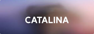 在柔和的紫粉漸變背景上，以粗體白色文字顯示 catalina。 — macOS Catalina 壁紙
