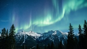 在星空下，綠色北極光照耀在雪峰和松樹之上。