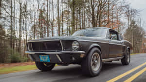 黑色經典福特野馬 Bullitt 在秋葉中行駛在森林道路上。 — 野馬GIF 壁紙