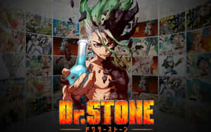 Dr Stone 背景 — Dr.STONE 新石紀 壁紙