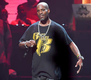 Dmx 圖片