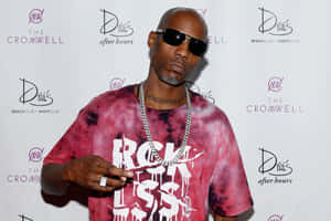 Dmx 圖片