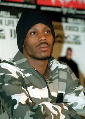 Dmx 圖片