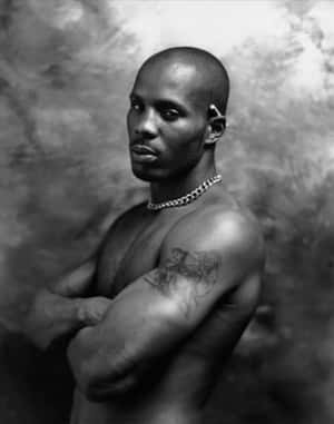 Dmx 圖片