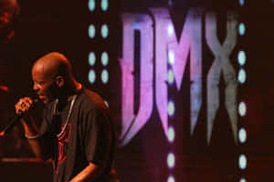 Dmx 圖片 — DMX 壁紙