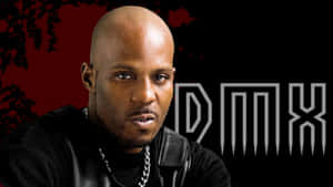 Dmx 圖片 — DMX 壁紙