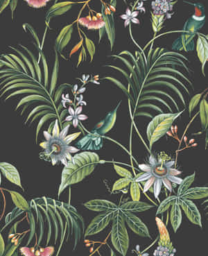 深色背景上詳細植物插圖中的熱帶花卉和蜂鳥。 — Pixel Fold 壁紙