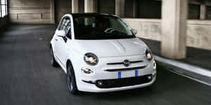 Fiat 圖片 — 飛雅特 壁紙