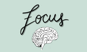 在薄荷綠色背景上，「Focus」一詞下方的大腦插圖。 — 讀書動力 壁紙