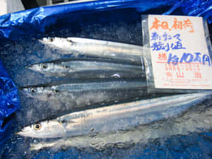 日本市場冰上的新鮮魚隻，附有手寫價格標籤。 — 海鮮 壁紙