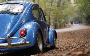 復古藍色福斯金龜車停泊在鋪滿落葉的森林道路上。 — 福斯汽車 壁紙