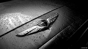 Genesis 汽車標誌被雨滴覆蓋在潮濕引擎蓋上。 — 創世紀 壁紙