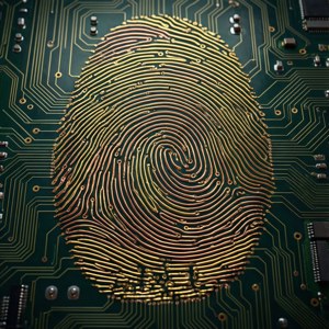 綠色電路板上的金色指紋設計，帶有電子元件。