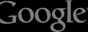 Google 標誌灰階版