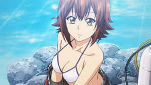 Grand Blue 背景 — 碧蓝之海 壁紙