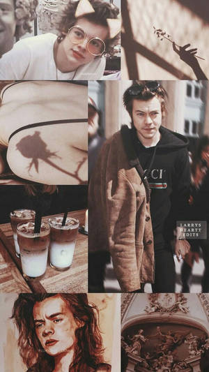 Harry Styles 在不同藝術風格和場景中的拼貼畫。 — 哈利波特 美學 壁紙