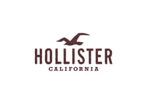 Hollister California 標誌，以棕色紋理字體展示品牌名稱，上方有一隻海鷗。 — Hollister 壁紙