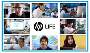HP 系列圖片