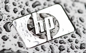 潮濕金屬表面上的HP標誌，帶有水珠 — 惠普筆電 壁紙