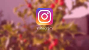 Instagram 應用程式標誌，背景有模糊的秋葉。 — Instagram限時動態 壁紙
