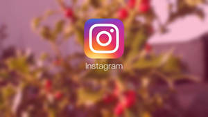 Instagram 應用程式標誌，背景為模糊的秋葉。 — 可愛又粉嫩 壁紙