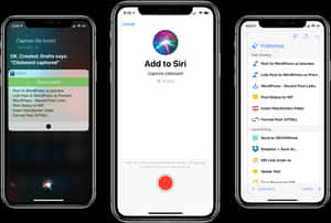 iPhone 12 三螢幕 productivity 應用程式