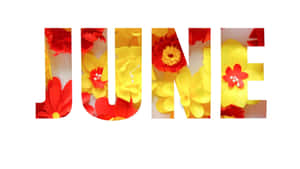 白色背景上由紅色和黃色紙花組成的 June 這個詞。 — 六月 壁紙