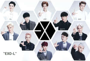 九位 K-pop 偶像在六邊形框架中為 EXO-L 做出手勢。 — 星際效應 壁紙