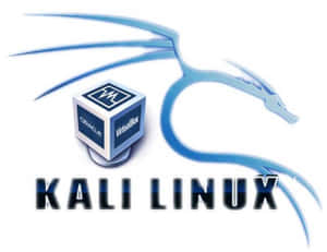 Kali Linux 圖片