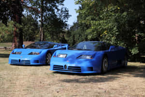 兩輛藍色Bugatti EB110超級跑車停放在樹旁的草地上。 — 布加迪 GIF 壁紙