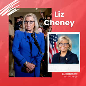 Liz Cheney 在記者會上發言，附有一張她微笑站在美國國旗旁邊的拍立得照片。 — 政治 壁紙