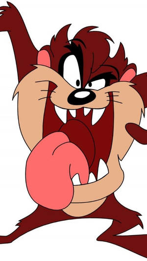 塔斯馬尼亞惡魔 Taz 怒吼，拳頭上帶著粉紅色拳擊手套。 — Tasmanian Devil 壁紙