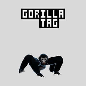低多邊形大猩猩角色以奔跑姿勢位於「GORILLA TAG」文字下方。 — 街頭霸王 壁紙