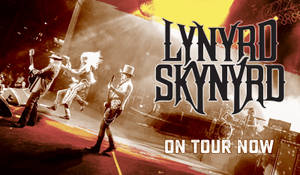 Lynyrd Skynyrd 樂團在紅色和黃色燈光下，手持吉他、戴著帽子進行現場表演。 — 音樂 壁紙
